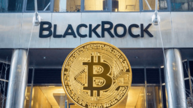 Photo of Биткоин-ETF BlackRock потерял $528 млн, что стало вторым по величине суточным оттоком средств за всю историю наблюдений