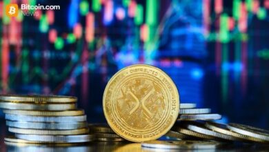Photo of XRP против RLUSD: Evernorth отмечает, что сфера применения XRP в сети XRPL продолжает расширяться