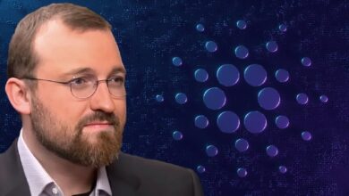 Photo of Хоскинсон из Cardano заявляет, что спорные 1 096 биткойнов пошли на финансирование аудита 2016 года на фоне загадочного исчезновения 70 миллионов долларов