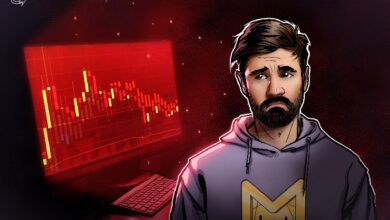 Photo of Портфель мемкоин-кита Мурада упал на 80% от пиковых значений