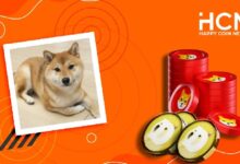 Photo of Пользователи биржи Rakuten Wallet получат SHIB и DOGE за фото своих питомцев