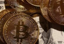 Photo of Сегодня в сети Bitcoin произойдет одно из самых значительных снижений сложности майнинга за всю ее историю
