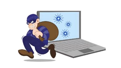 Photo of Уязвимость в кошельке Cardano привела к потере $2,4 млн