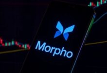 Photo of MORPHO вырос на фоне раунда на $175 млн