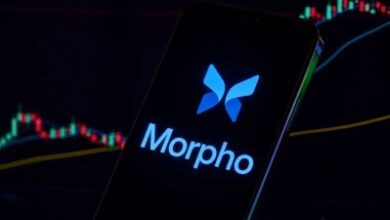 Photo of MORPHO вырос на фоне раунда на $175 млн
