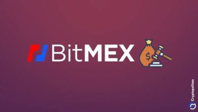 Photo of BitMEX освободила от занимаемых Portsmouth высшее руководство: финансовый директор, генеральный директор и руководитель отдела развития покидают свои посты