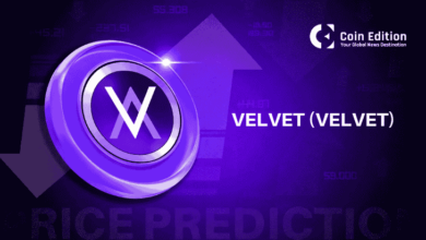 Photo of Прогноз цен на VELVET: VELVET набирает обороты, пока инсайдеры получают деньги