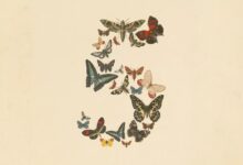 Photo of Fable 5 от Anthropic несет риски для криптовалюты