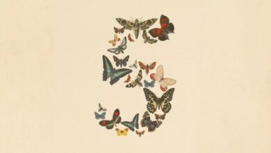 Photo of Fable 5 от Anthropic несет риски для криптовалюты