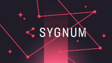 Photo of По словам Sygnum, банковские платформы отходят от концепции «победителя среди стейблкоинов»