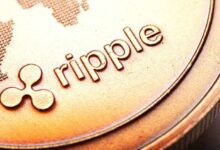 Photo of Шварц из Ripple рассказал о сценариях использования XRP в преддверии крупнейшего в истории мероприятия Swell