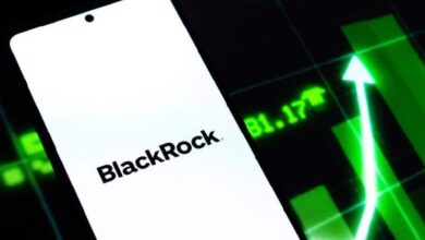 Photo of Blackrock остановила падение курса биткоин-ETF: IBIT привлек 48 млн долларов после 13 дней падения