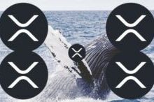 Photo of Кит потерял $28,2 млн после ликвидации длинных позиций по XRP