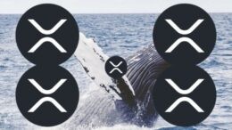 Photo of Кит потерял $28,2 млн после ликвидации длинных позиций по XRP