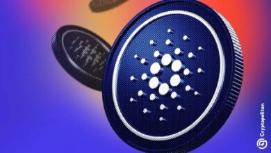 Photo of Самый серьёзный кризис с кошельками Cardano? Пользователи теряют 16 миллионов ADA