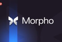 Photo of Morpho привлек $175 млн в статусе «единорога»