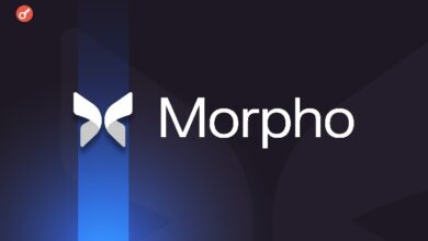 Photo of Morpho привлек $175 млн в статусе «единорога»