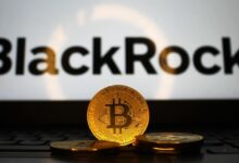 Photo of IBIT от Blackrock возглавил распродажу биткоин-ETF на сумму 469 миллионов долларов — это крупнейший отток средств с 2 июня