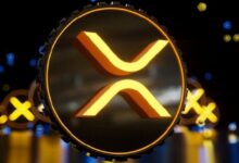 Photo of XRP исполняется 14 лет: генеральный директор Ripple назвал «честью всей жизни» возможность быть частью семьи XRP