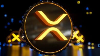 Photo of XRP исполняется 14 лет: генеральный директор Ripple назвал «честью всей жизни» возможность быть частью семьи XRP