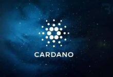 Photo of Названо число монет Cardano у крупных держателей этой криптовалюты
