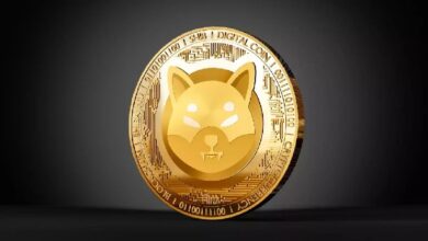 Photo of Покупки южнокорейских трейдеров повысили цену мемкоина Shiba Inu на 36%
