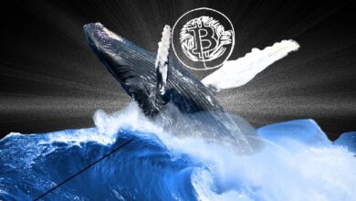 Photo of В CryptoQuant зафиксировали наращивание позиций биткоин-китами