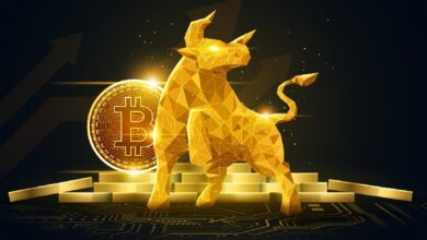 Photo of На горизонте бычий рынок: Bitwise прогнозирует формирование дна перед осенним ралли