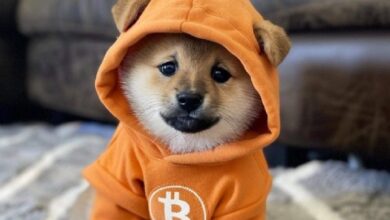 Photo of Предложение DOG Mode бросает вызов попыткам ограничить данные в блокчейне Bitcoin