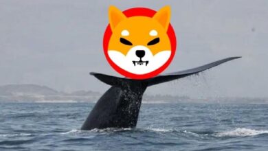 Photo of Платформа Robinhood занимает второе место с балансом 39,27 трлн токенов SHIB