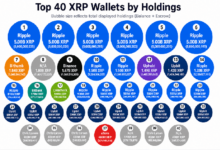 Photo of В 40 крупнейших кошельках насчитывается 55,84 млрд XRP, однако счёты эскроу меняют общую картину