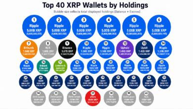 Photo of В 40 крупнейших кошельках насчитывается 55,84 млрд XRP, однако счёты эскроу меняют общую картину