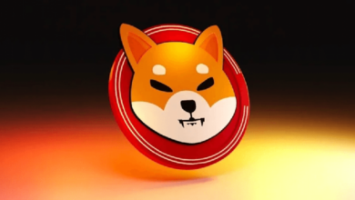 Photo of Акции Shiba Inu подскочили на 36% на фоне загадочного ралли, инициированного южнокорейскими трейдерами