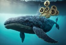 Photo of За две недели июня криптокиты приобрели 270,000 биткоинов на $16,7 млрд