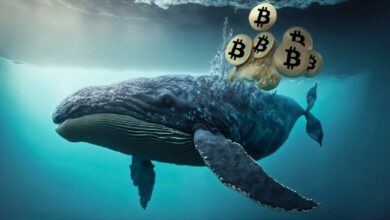 Photo of За две недели июня криптокиты приобрели 270,000 биткоинов на $16,7 млрд