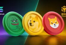 Photo of Торговля мем-монетами привела к росту объемов торгов Solana на 38% и BNB Chain на 45%