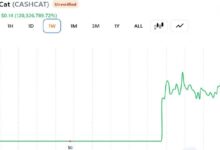 Photo of Этот трейдер продал свой CASHCAT за 711 долларов вместо того, чтобы уйти на пенсию: вот расчёты
