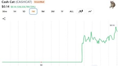 Photo of Этот трейдер продал свой CASHCAT за 711 долларов вместо того, чтобы уйти на пенсию: вот расчёты