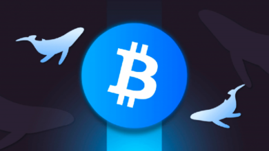 Photo of Крупные держатели биткоинов купили BTC на $16,7 млрд за 2 недели, а ETF потеряли рекордные $4 млрд