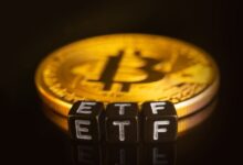 Photo of Биткойн-ETF привлекли 203 млн долларов, а их активы превысили 80 млрд долларов