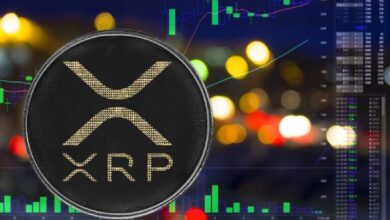 Photo of XRPL Commons представляет новую программу грантов, направленную на ускорение роста сообщества разработчиков XRP Ledger