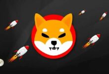 Photo of Стало известно число уничтоженных токенов SHIB