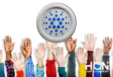Photo of Цена Cardano выросла за неделю на 32%, так как в сети появились 14,783 новых адреса