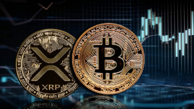 Photo of Данные биржи Bitcoin бьют тревогу! Курс XRP резко упал! Что это значит?