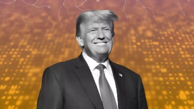 Photo of Сенатор Уоррен предложила перекрыть криптодоходы семье Трампа
