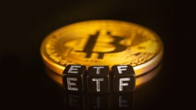Photo of Биткойн-ETF потеряли 425 млн долларов на фоне новой волны оттока средств, вызванной действиями Fidelity и Blackrock