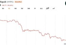 Photo of Связанная с A16z компания Whale выводит 28 миллионов долларов из HYPE на фоне падения курса токена на 10 % за сутки