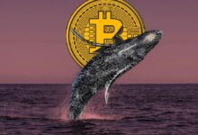 Photo of Крупные держатели Bitcoin продолжают распродавать свои активы, оказывая давление на траекторию цены BTC