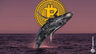 Photo of Крупные держатели Bitcoin продолжают распродавать свои активы, оказывая давление на траекторию цены BTC