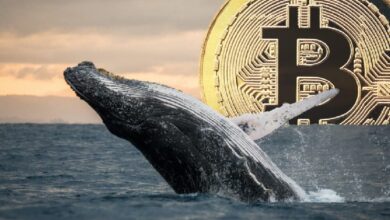 Photo of После семи лет молчания крупный держатель биткоинов перевел сотни биткоинов на новый адрес!